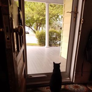 Meet your Posher, Bella