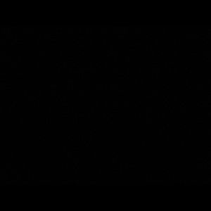 Meet your Posher, Roslynn