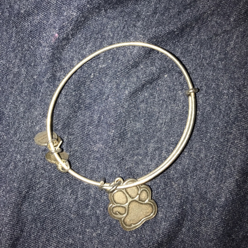 Alex and Ani bracelet