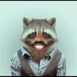 Meet your Posher, Mansour