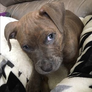 Meet your Posher, Robin