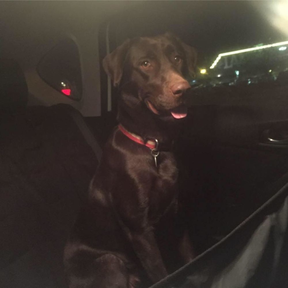 Meet your Posher, Ken