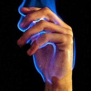 Meet your Posher, Robin