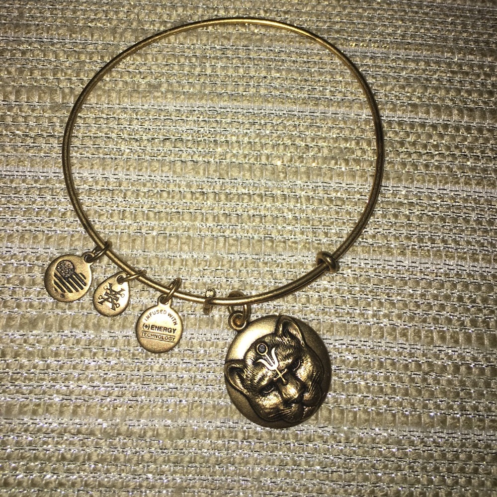 Alex and Ani Wild Heart Bracelet