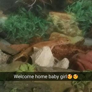 Meet your Posher, Hailey