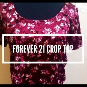 Velvet Crop top