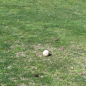 Meet your Posher, Norma