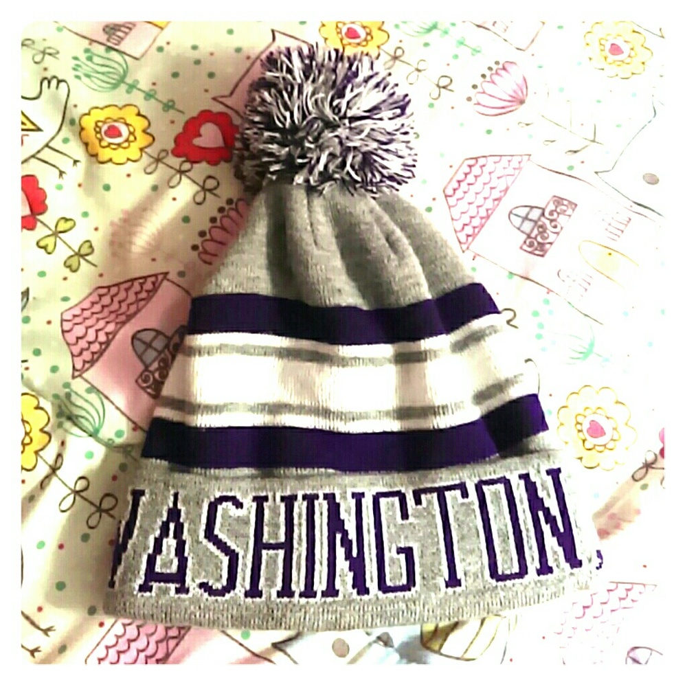 Washington DC beanie
