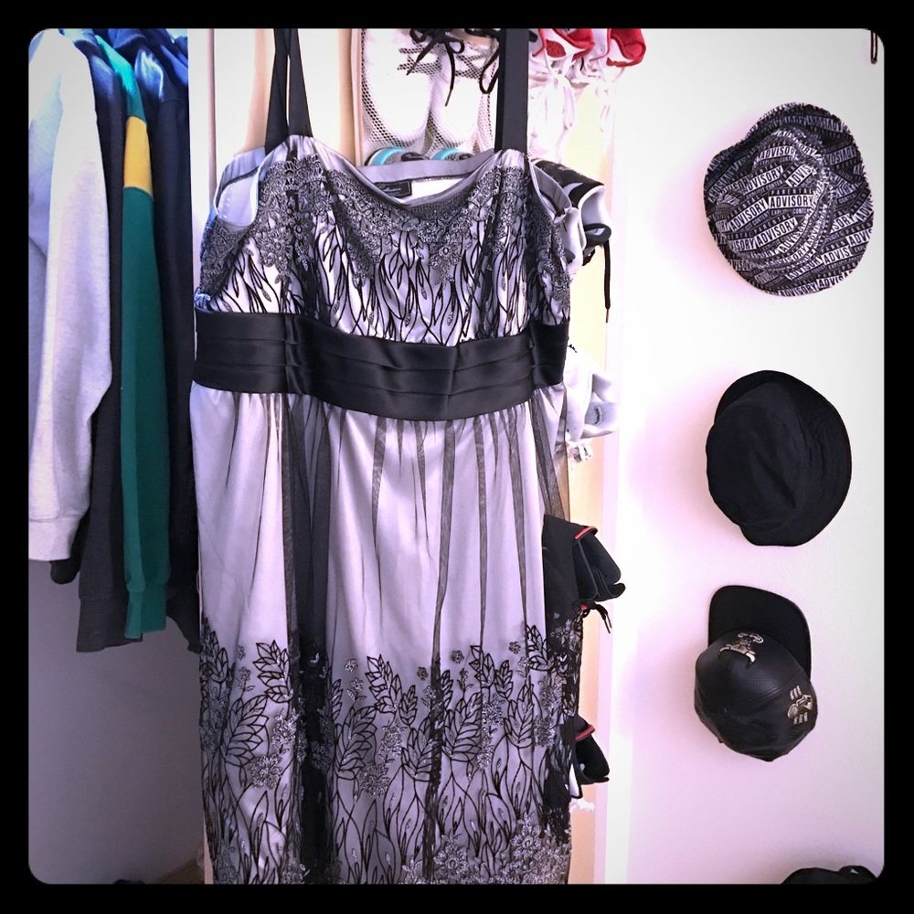 Size 24 collections dress