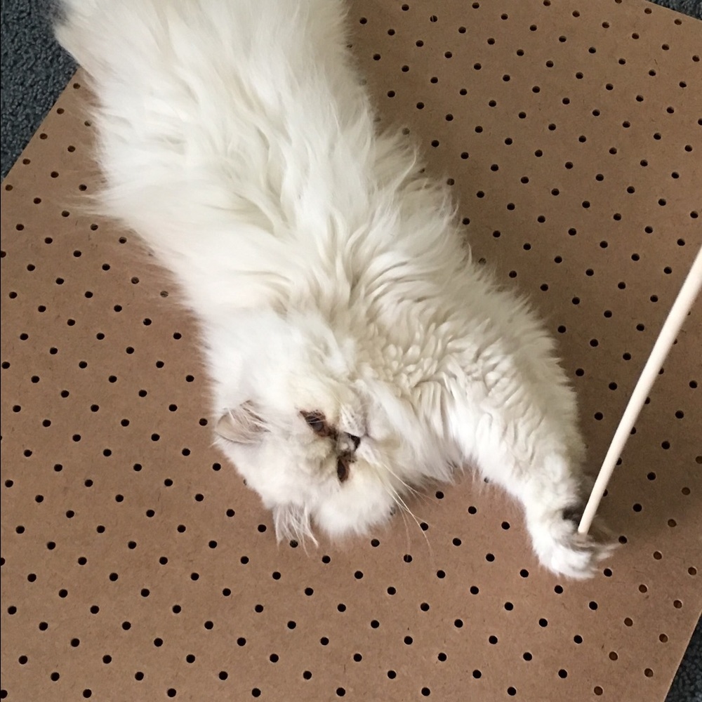 Meet your Posher, Cheryle