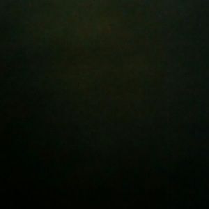 Meet your Posher, Young