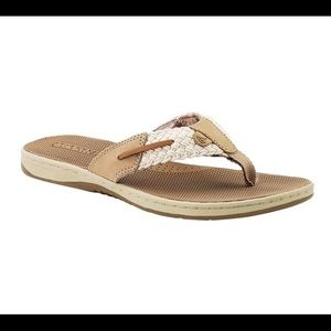 Sperry women's parrotfish sandals
