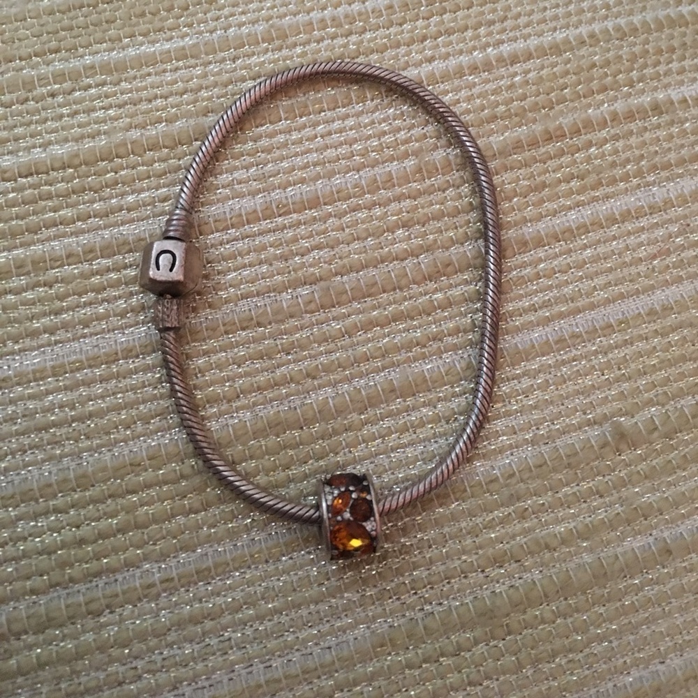 Chamilla Charm Bracelet with "November" birthstone