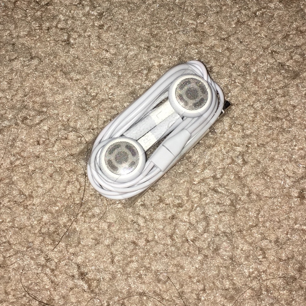 Apple Earphones