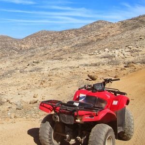 Meet your Posher, Amna