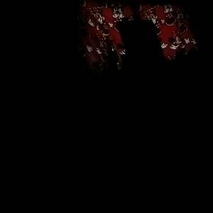 Meet your Posher, Lupe