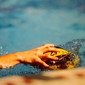 Meet your Posher, Brandi