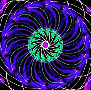 Meet your Posher, Jackie