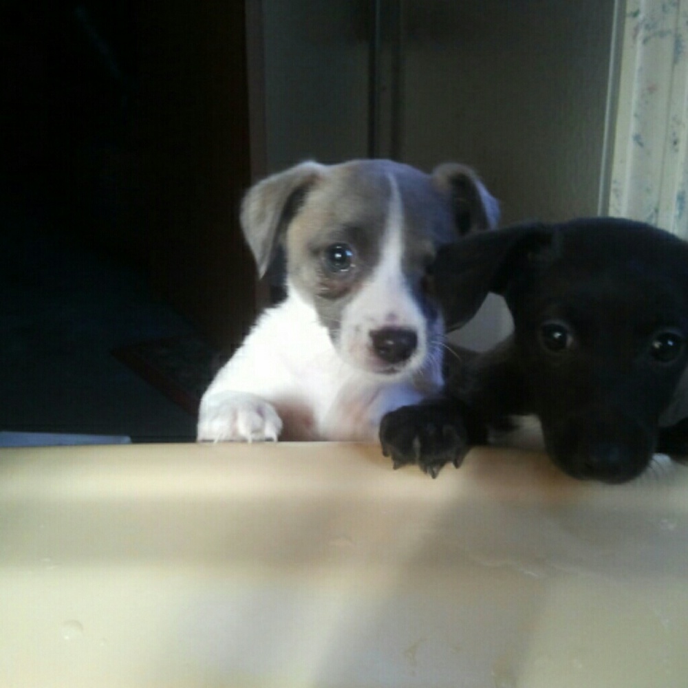 Meet your Posher, Mindy