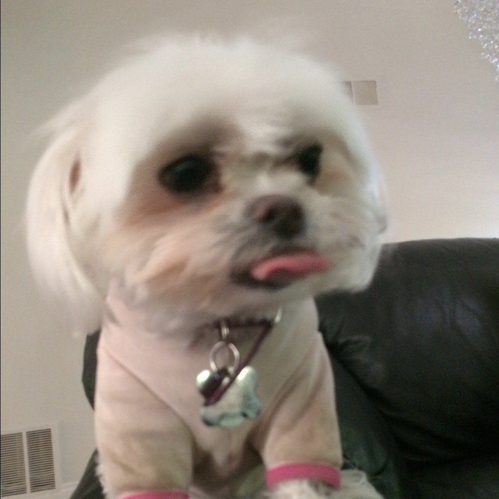 Meet your Posher, Hannah