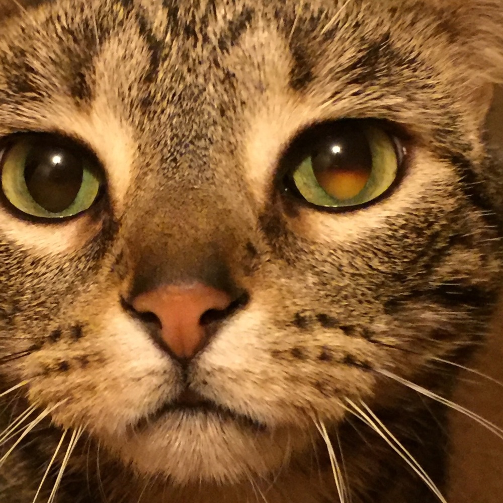 Meet your Posher, Marisa