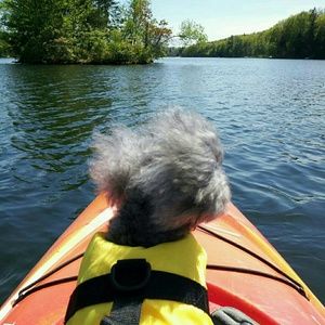 Meet your Posher, Alyssia