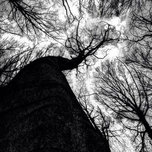 Meet your Posher, Jenn