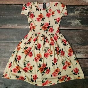 BNWOT Small Lularoe Amelia