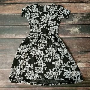 BNWOT small Lularoe Amelia