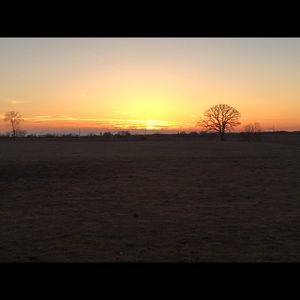 Meet your Posher, Dayton