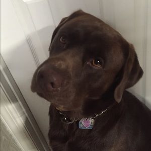 Meet your Posher, Melanie