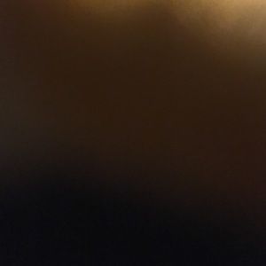 Meet your Posher, Lola