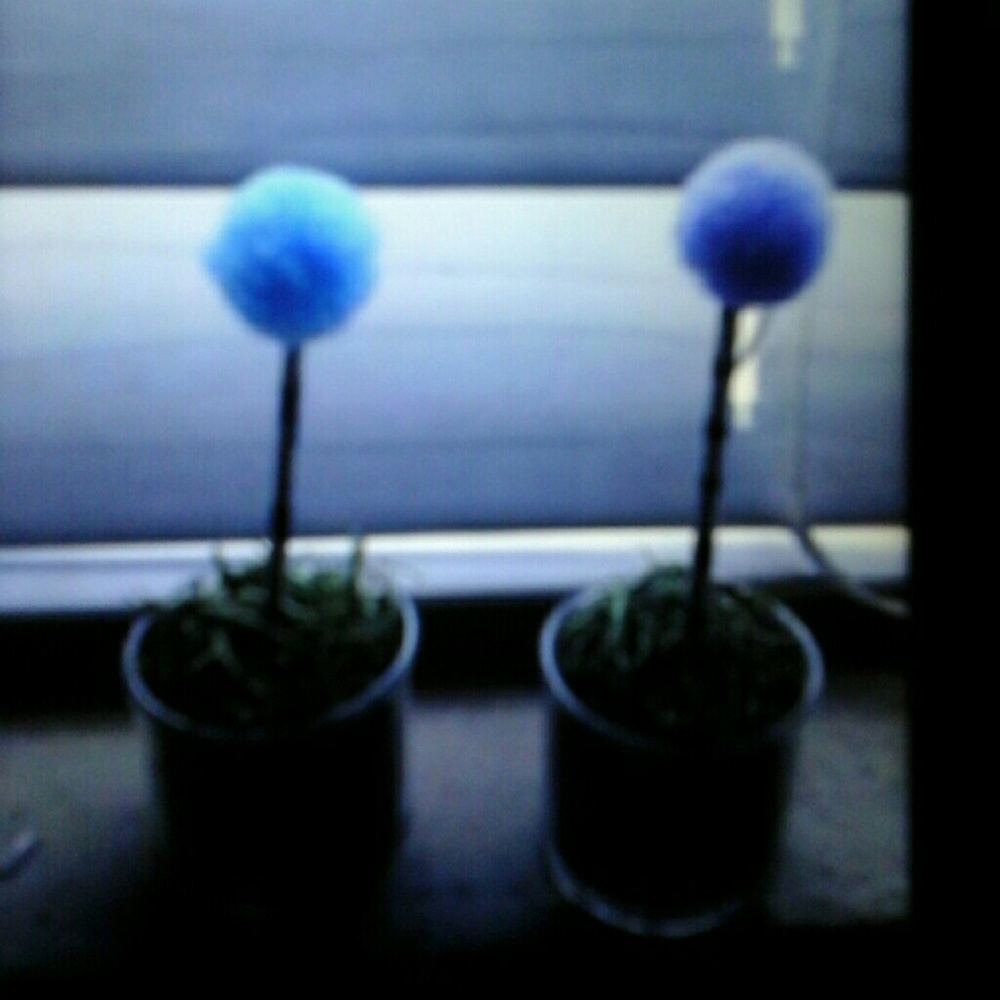 Baby truffula tree from the movie The Lorax