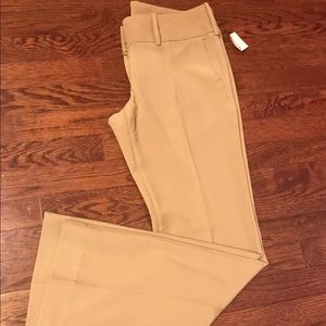 Limited drew fit pants