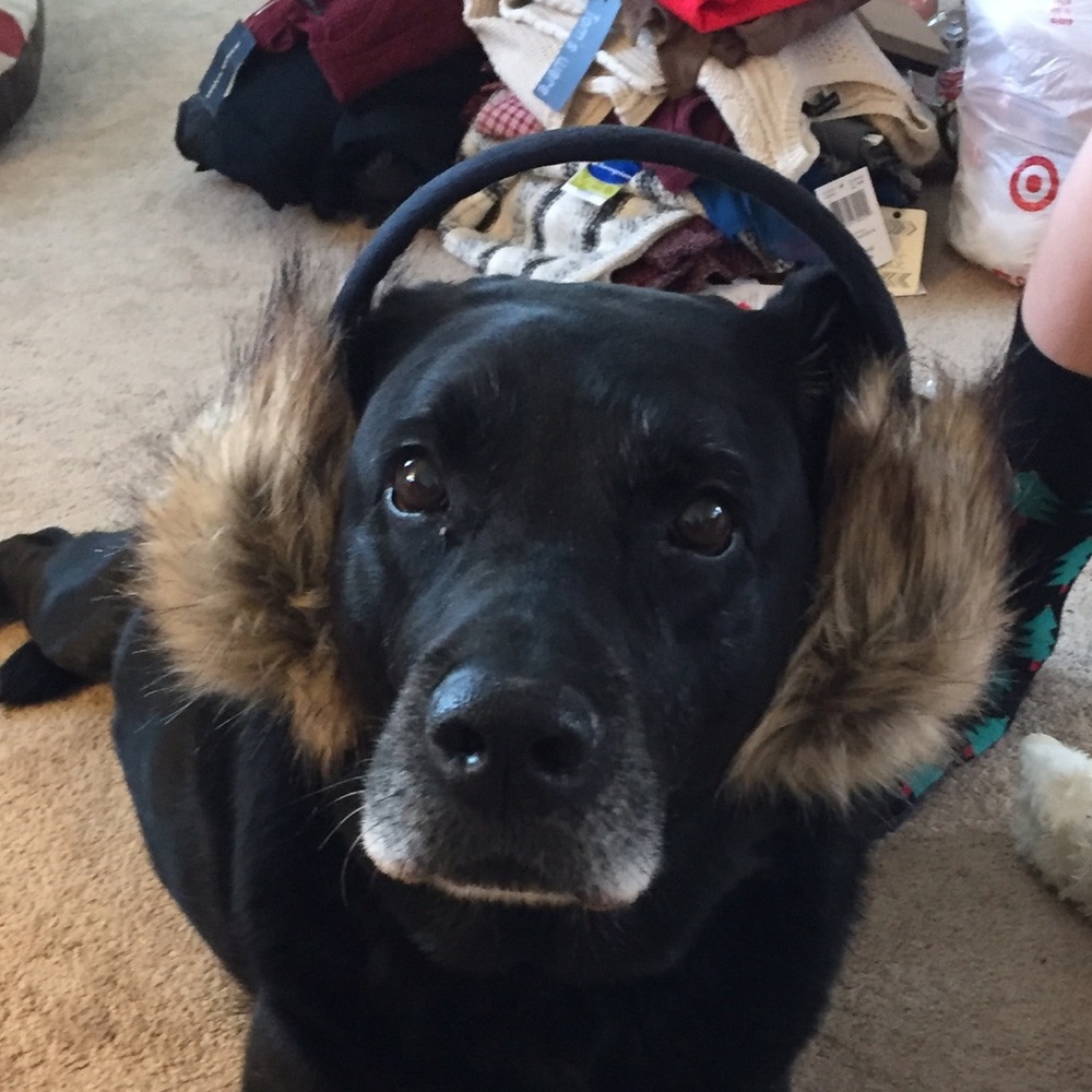 Meet your Posher, Maddie