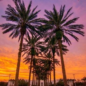 Meet your Posher, Bella