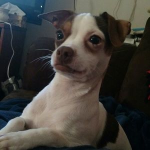 Meet your Posher, Trina