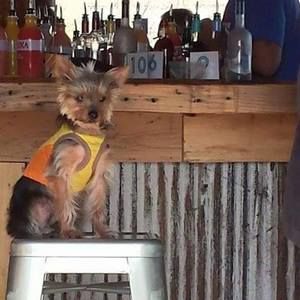 Meet your Posher, Lee