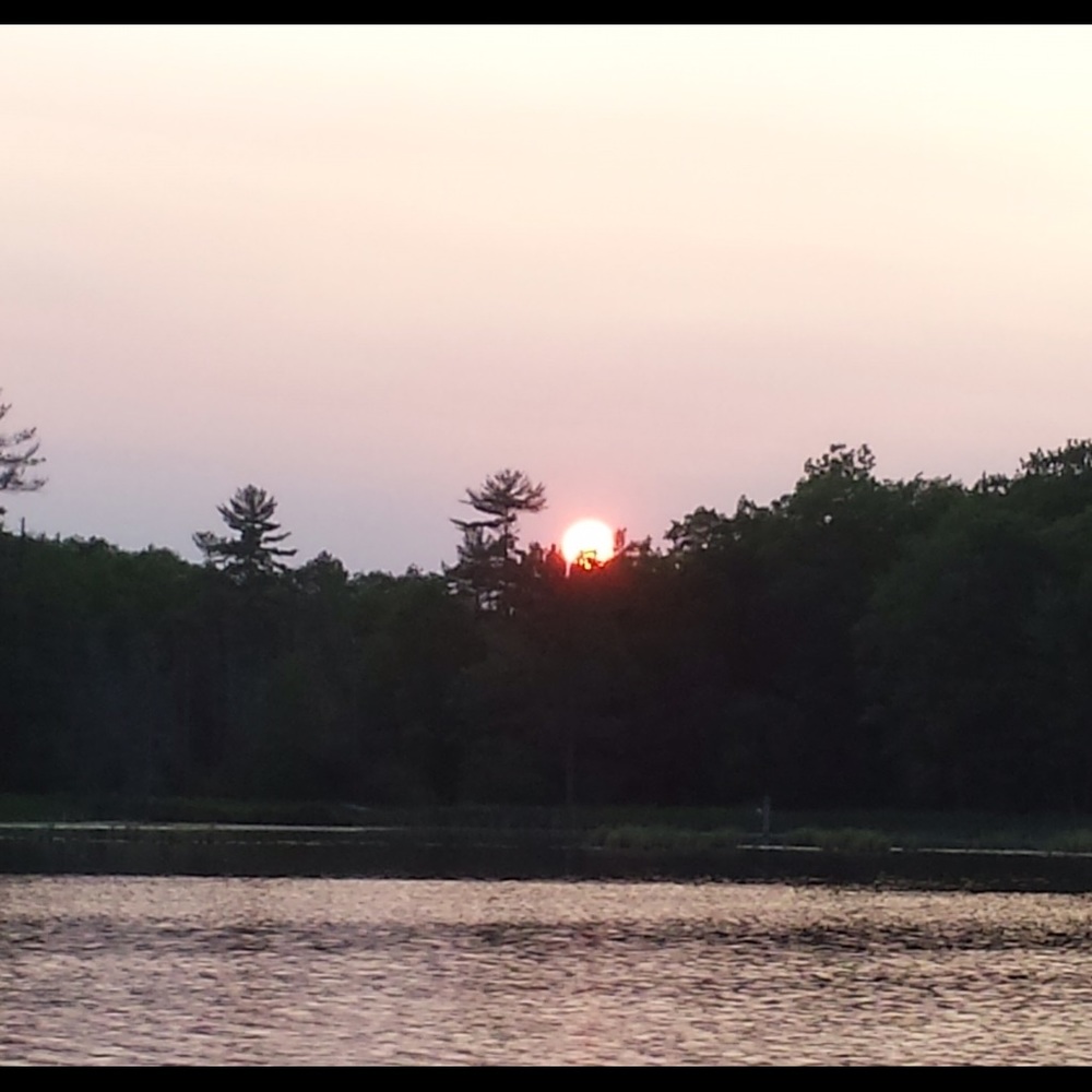 Meet your Posher, Austyn