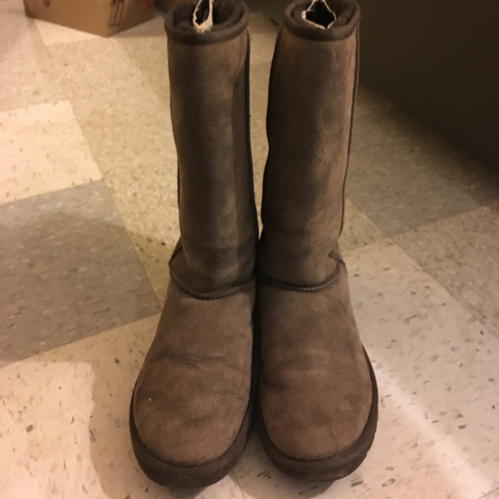 Tall classic Ugg boots (chocolate)