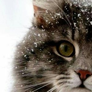 Meet your Posher, Glenanne