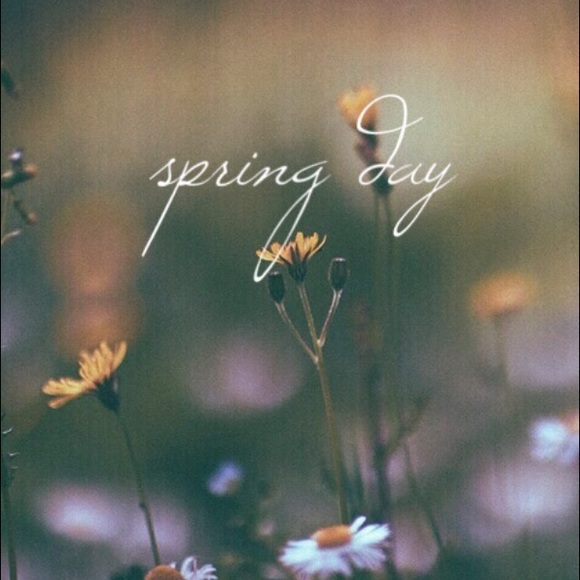 Meet your Posher, Dani - Picture 2 of 2