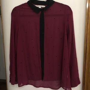 Sheer button down with black detailing