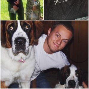 Meet your Posher, Barry