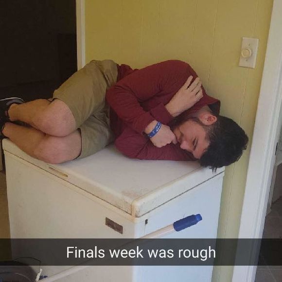 Meet your Posher, Ryan - Picture 1 of 1