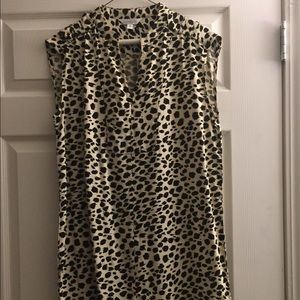 Charming Charlie Cheetah print dress
