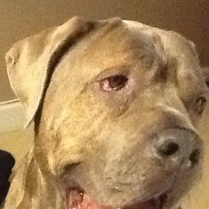 Meet your Posher, Jeff