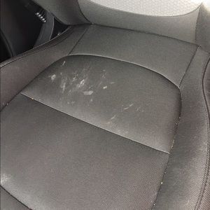 Meet your Posher, Barbara