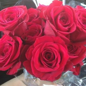 Meet your Posher, Marlin