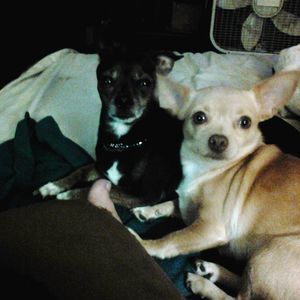 Meet your Posher, Cindy